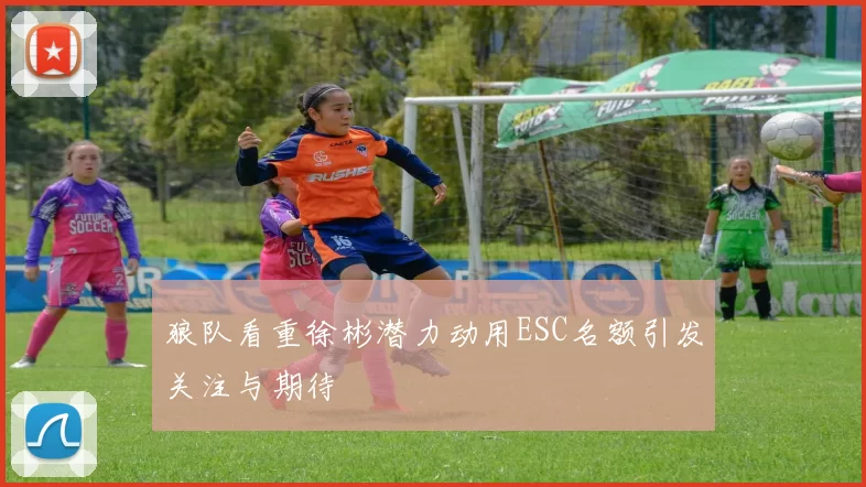 狼队看重徐彬潜力动用ESC名额引发关注与期待