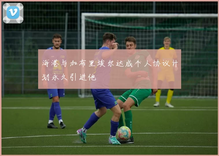 海港与加布里埃尔达成个人协议计划永久引进他